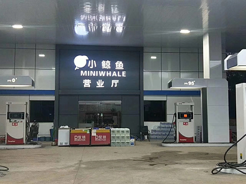 蘑菇视频下载APP免费